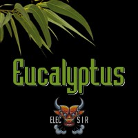 ElecSir Flavors - Eucalyptus - 10ml
