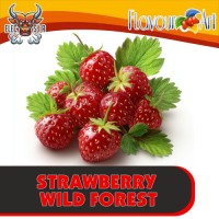 FlavourArt - Strawberry Wild Forest - 10ml